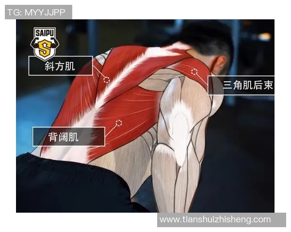 哑铃划船运动的主要锻炼部位及其对身体的全面影响分析